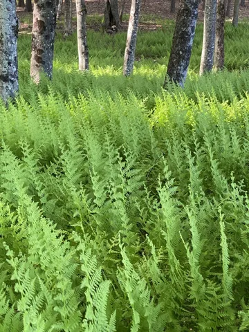 $1,475,000 | 1372 Mud Pond Road, Thetford, VT 05075