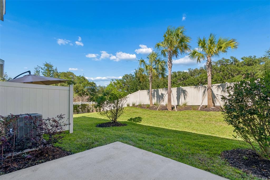2470 Paravane Way Wesley Chapel, FL 33543 - Photo 37 of 47