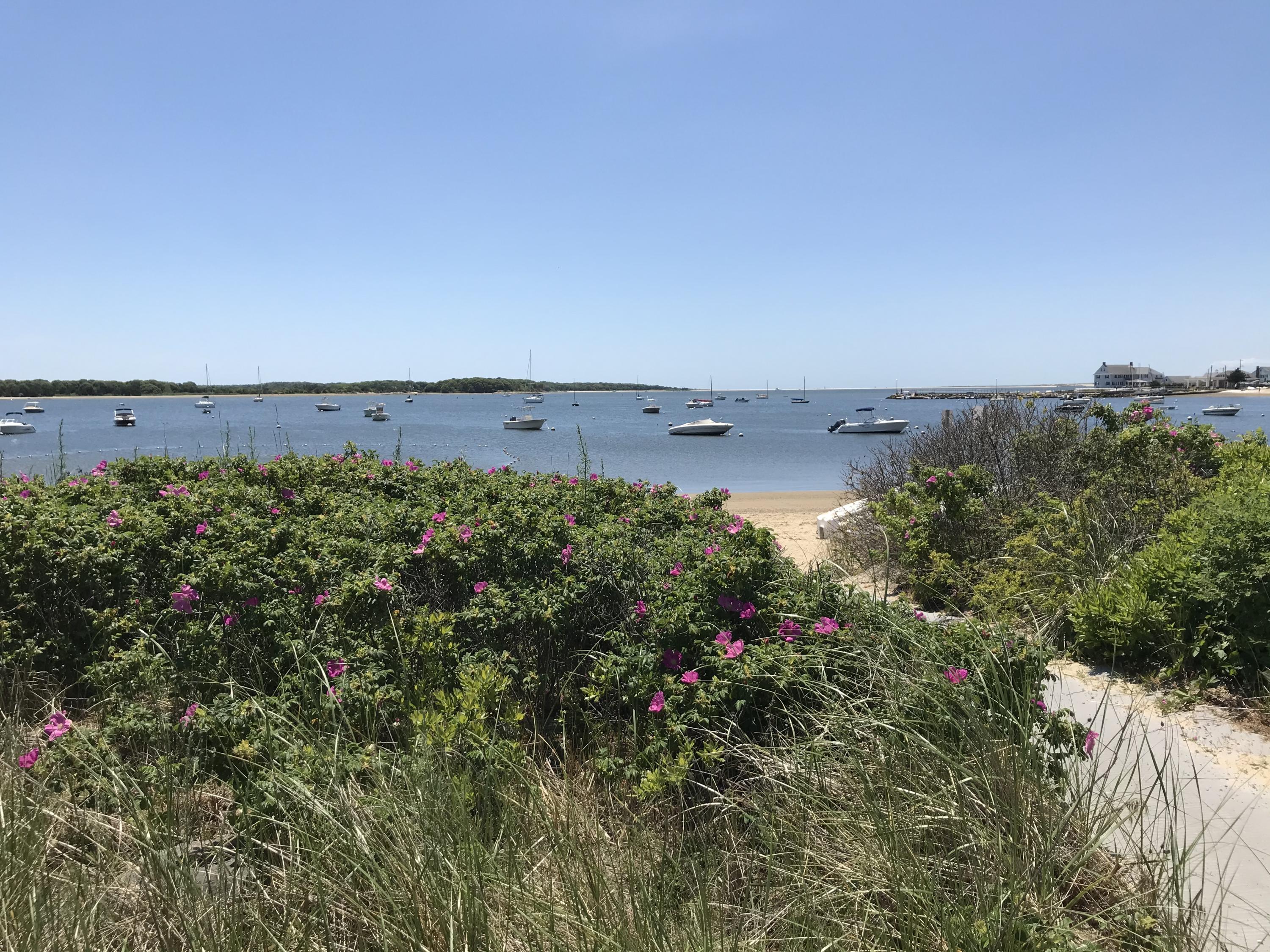 139 Exeter Road West Yarmouth, MA 02673 - Photo 19 of 20 IMG_3015