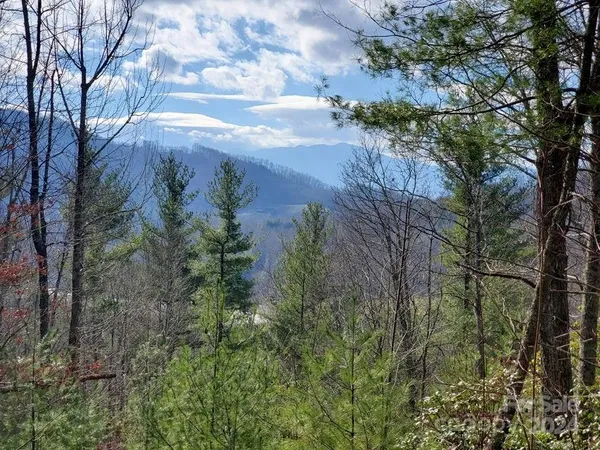 $45,000 | 0 Elkins Road, Unit 20, Bakersville, NC 28705