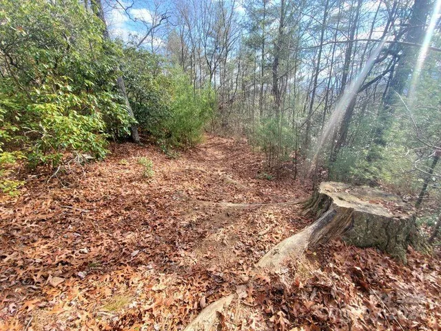 $32,500 | 0 Elkins Road, Bakersville, NC 28705