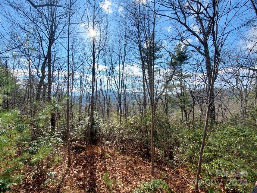 0 Elkins Road, Unit 20 Bakersville, NC 28705 - Photo 13 of 32