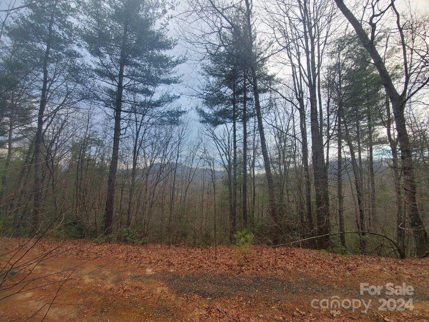 0 Elkins Road, Unit 20 Bakersville, NC 28705 - Photo 15 of 32