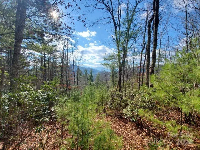 $32,500 | 0 Elkins Road, Bakersville, NC 28705