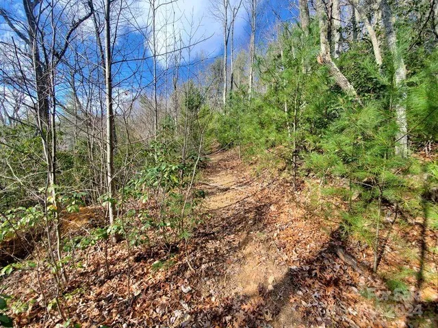 $32,500 | 0 Elkins Road, Bakersville, NC 28705