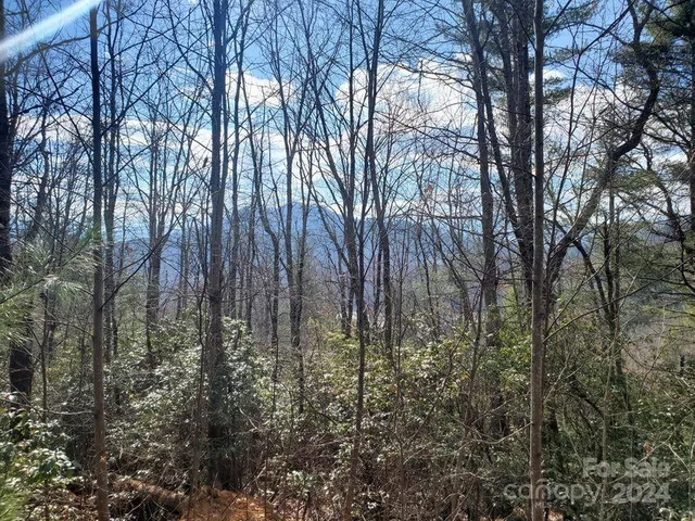 $32,500 | 0 Elkins Road, Bakersville, NC 28705