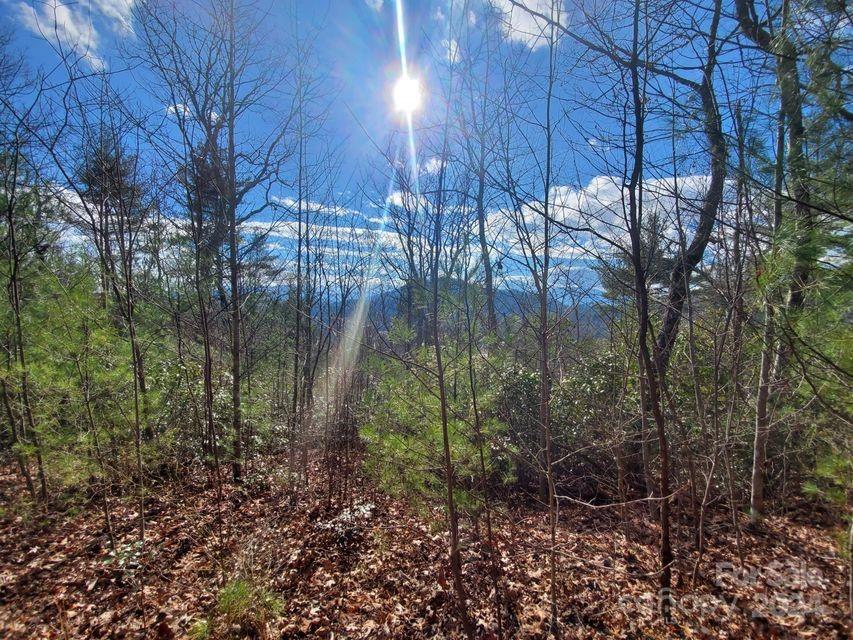 0 Elkins Road, Unit 20 Bakersville, NC 28705 - Photo 19 of 32