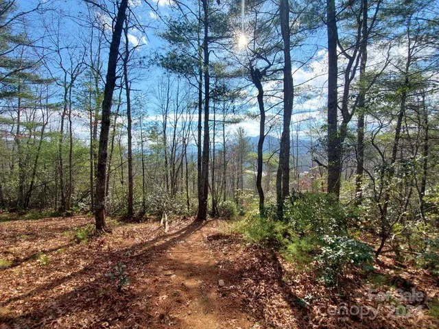 $32,500 | 0 Elkins Road, Bakersville, NC 28705