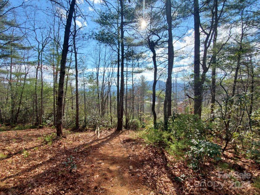 0 Elkins Road, Unit 20 Bakersville, NC 28705 - Photo 20 of 32
