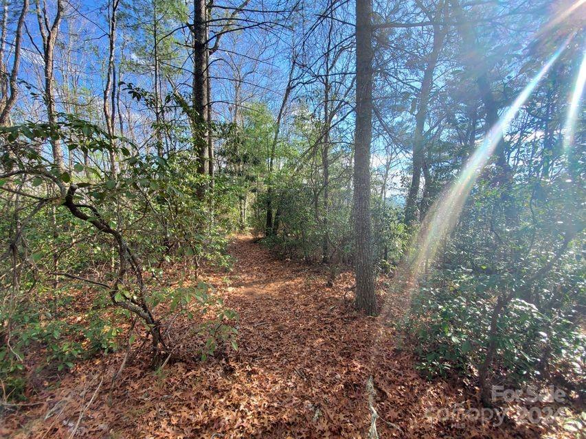 0 Elkins Road, Unit 20 Bakersville, NC 28705 - Photo 22 of 32