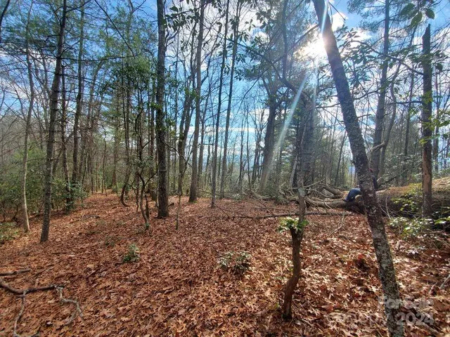 $32,500 | 0 Elkins Road, Bakersville, NC 28705