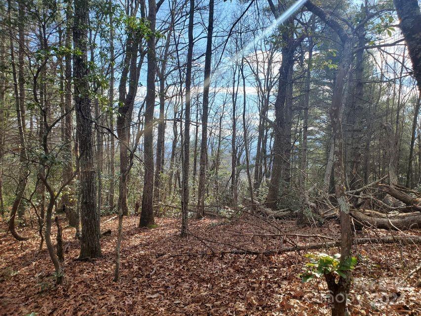 0 Elkins Road, Unit 20 Bakersville, NC 28705 - Photo 24 of 32