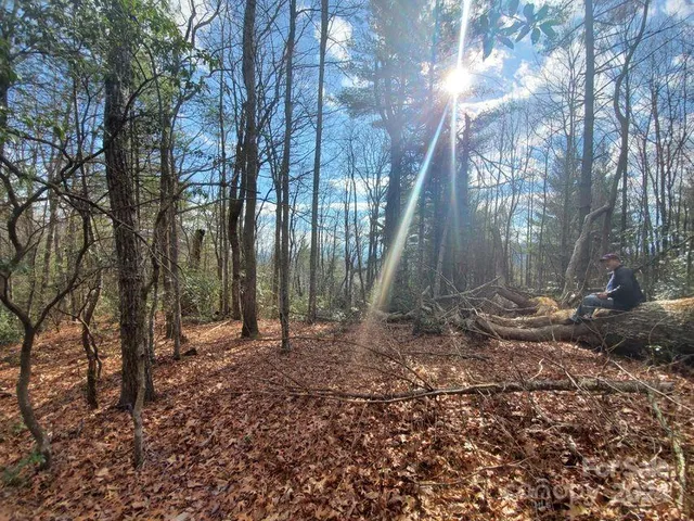 $32,500 | 0 Elkins Road, Bakersville, NC 28705