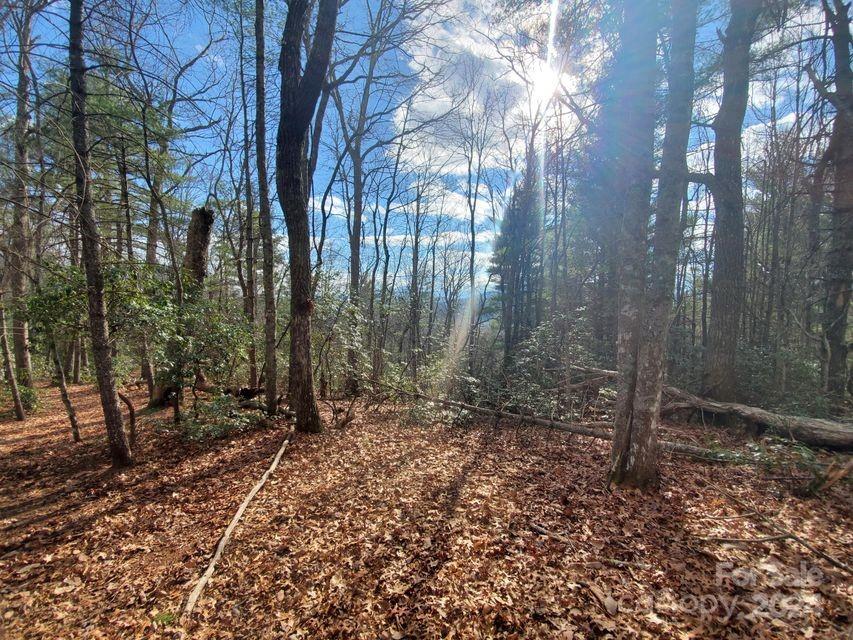 0 Elkins Road, Unit 20 Bakersville, NC 28705 - Photo 26 of 32