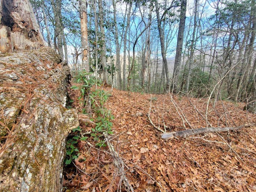 0 Elkins Road, Unit 20 Bakersville, NC 28705 - Photo 27 of 32