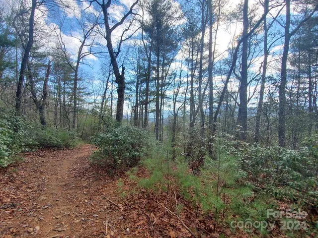 $32,500 | 0 Elkins Road, Bakersville, NC 28705