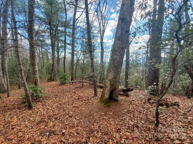 $32,500 | 0 Elkins Road, Bakersville, NC 28705