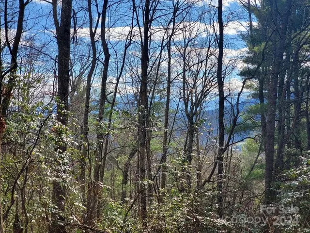 $32,500 | 0 Elkins Road, Bakersville, NC 28705