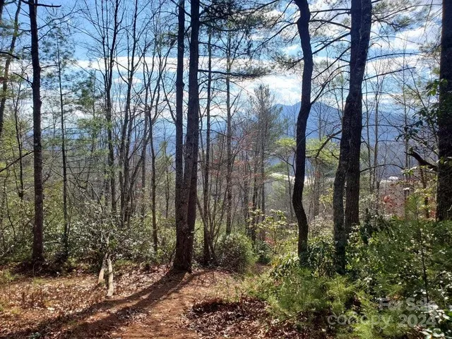 $32,500 | 0 Elkins Road, Bakersville, NC 28705