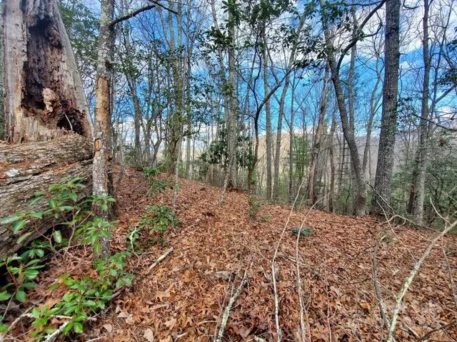 $32,500 | 0 Elkins Road, Bakersville, NC 28705