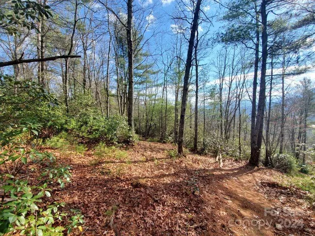 $32,500 | 0 Elkins Road, Bakersville, NC 28705