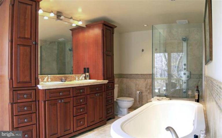 911 Swinks Mill Road McLean, VA 22102 - Photo 14 of 28 Master Bath