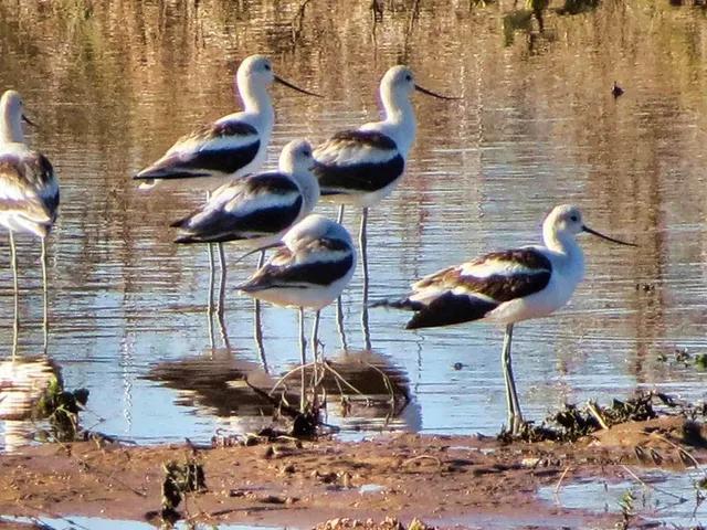 $1,650,000 | 0 Settemeyer Road, Mason, TX 76856