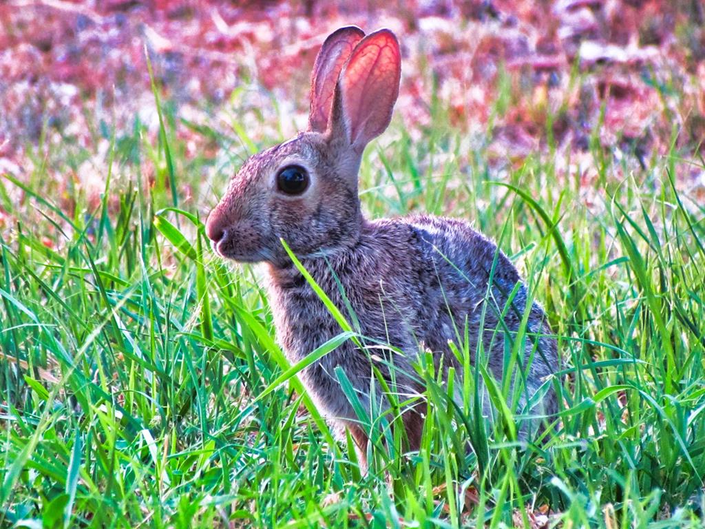 0 Settemeyer Road Mason, TX 76856 - Photo 24 of 59 a bird view