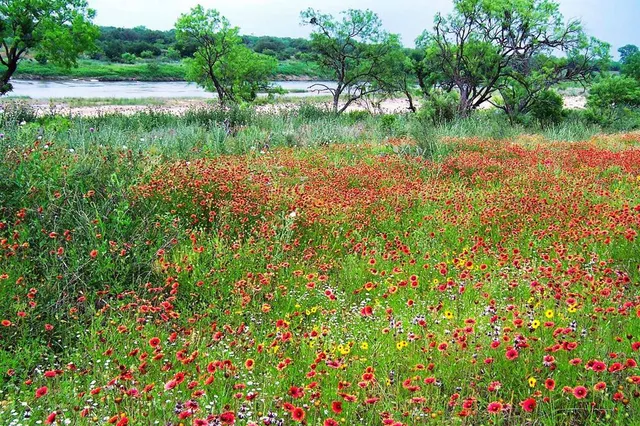 $1,650,000 | 0 Settemeyer Road, Mason, TX 76856