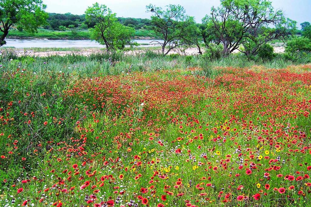 0 Settemeyer Road Mason, TX 76856 - Photo 28 of 59 a view of a lake from a garden