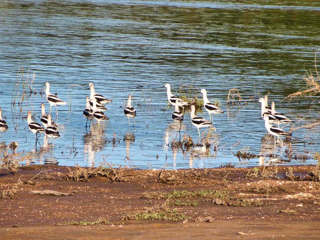 0 Settemeyer Road Mason, TX 76856 - Photo 29 of 59