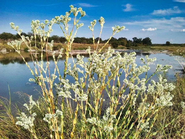 $1,650,000 | 0 Settemeyer Road, Mason, TX 76856