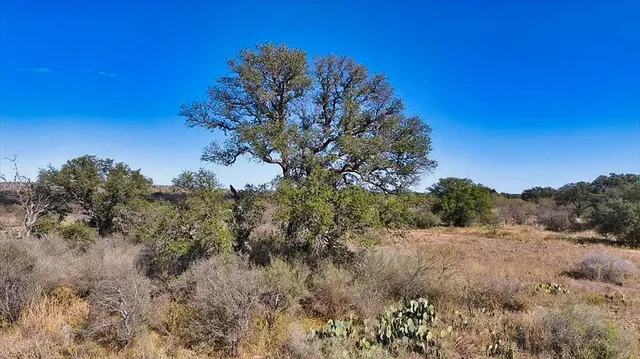 $1,650,000 | 0 Settemeyer Road, Mason, TX 76856