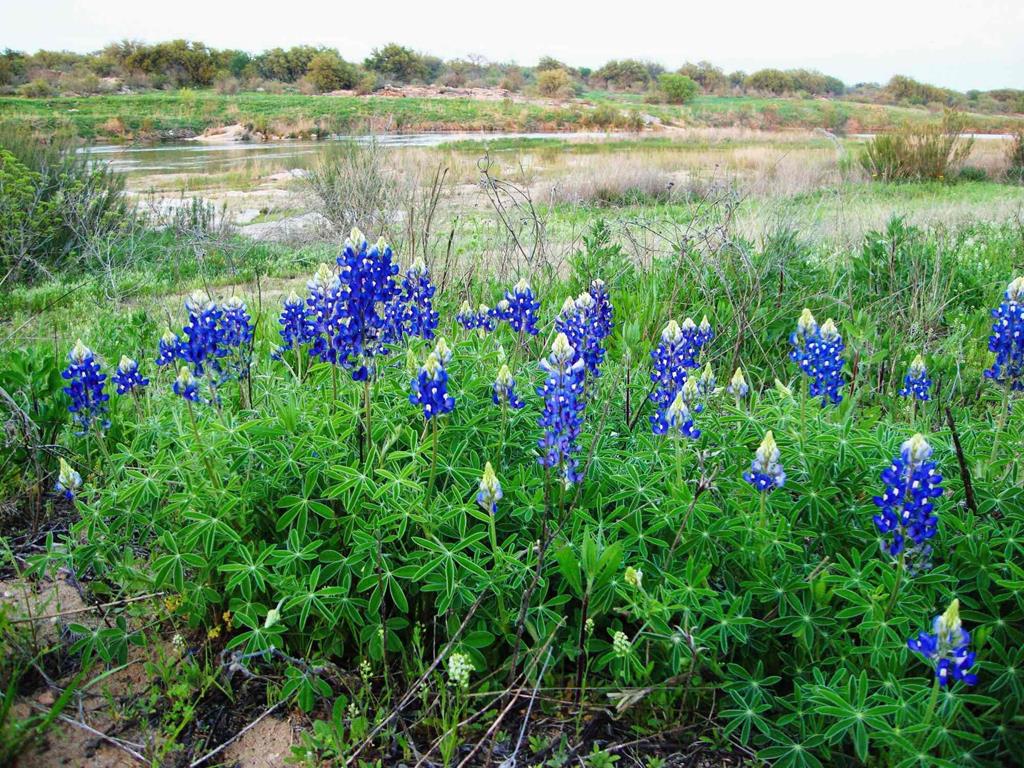 0 Settemeyer Road Mason, TX 76856 - Photo 35 of 59 a view of a lake with a house and a lake view