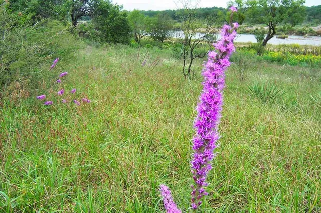 $1,650,000 | 0 Settemeyer Road, Mason, TX 76856