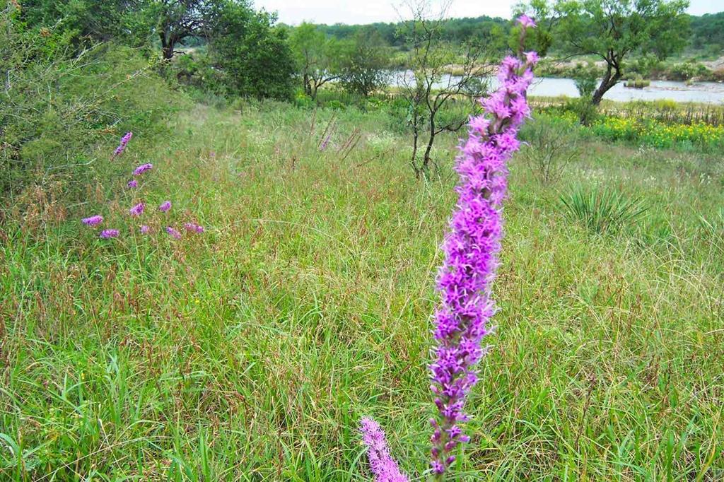 0 Settemeyer Road Mason, TX 76856 - Photo 37 of 59 a front view of a house with a yard and lake