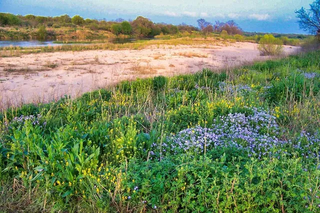 $1,650,000 | 0 Settemeyer Road, Mason, TX 76856