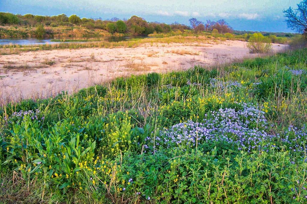 0 Settemeyer Road Mason, TX 76856 - Photo 38 of 59 a view of an ocean and beach