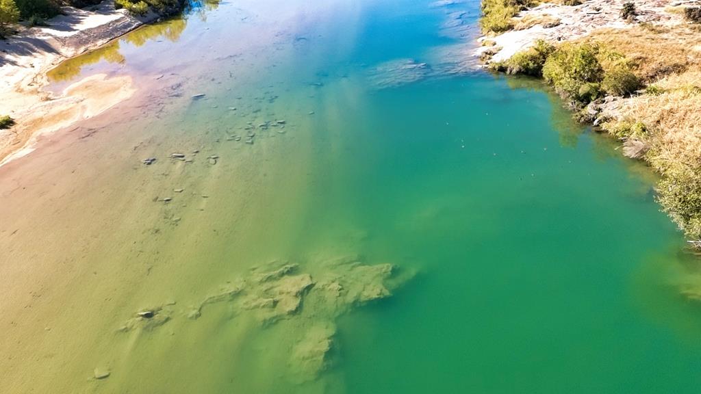 0 Settemeyer Road Mason, TX 76856 - Photo 4 of 59 a view of a small yard