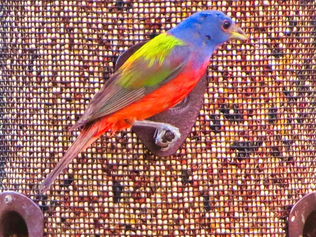 0 Settemeyer Road Mason, TX 76856 - Photo 43 of 59