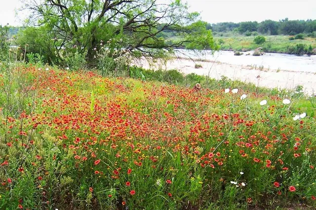 $1,650,000 | 0 Settemeyer Road, Mason, TX 76856