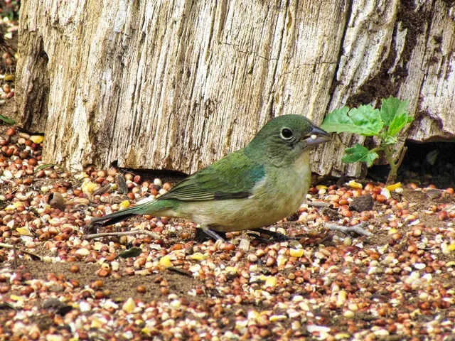 $1,650,000 | 0 Settemeyer Road, Mason, TX 76856