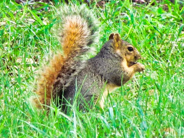 $1,650,000 | 0 Settemeyer Road, Mason, TX 76856