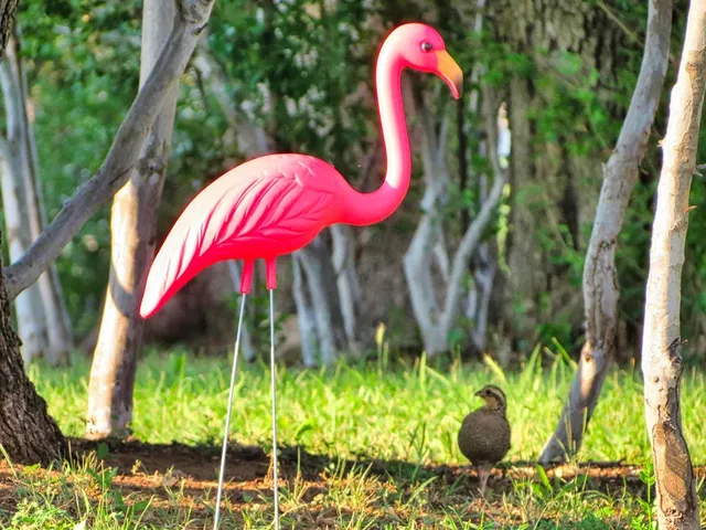 $1,650,000 | 0 Settemeyer Road, Mason, TX 76856