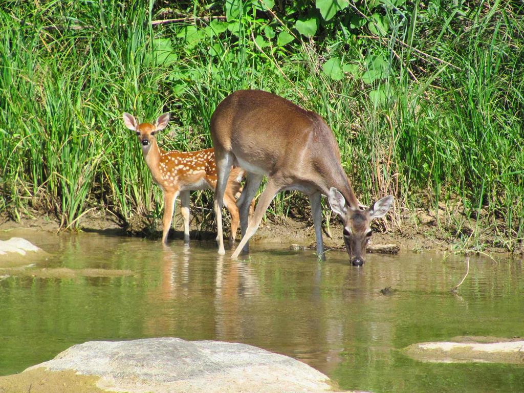 0 Settemeyer Road Mason, TX 76856 - Photo 10 of 59 a view of lake view