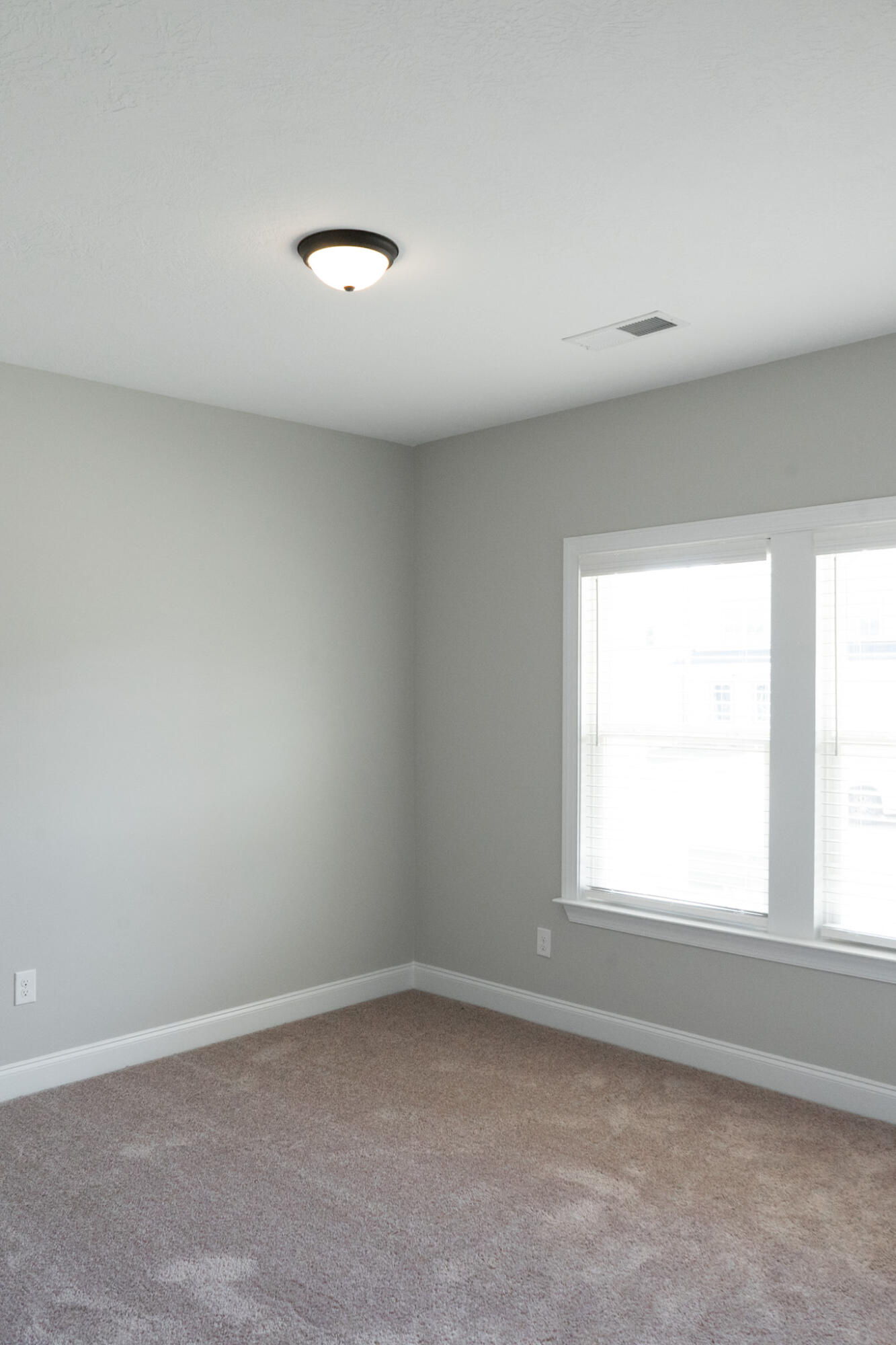 231 Switchgrass Run Aiken, SC 29803 - Photo 4 of 46