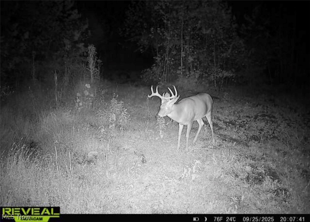 181 County Road Ironton, OH 45638 - Photo 10 of 34 Gallery Image 10