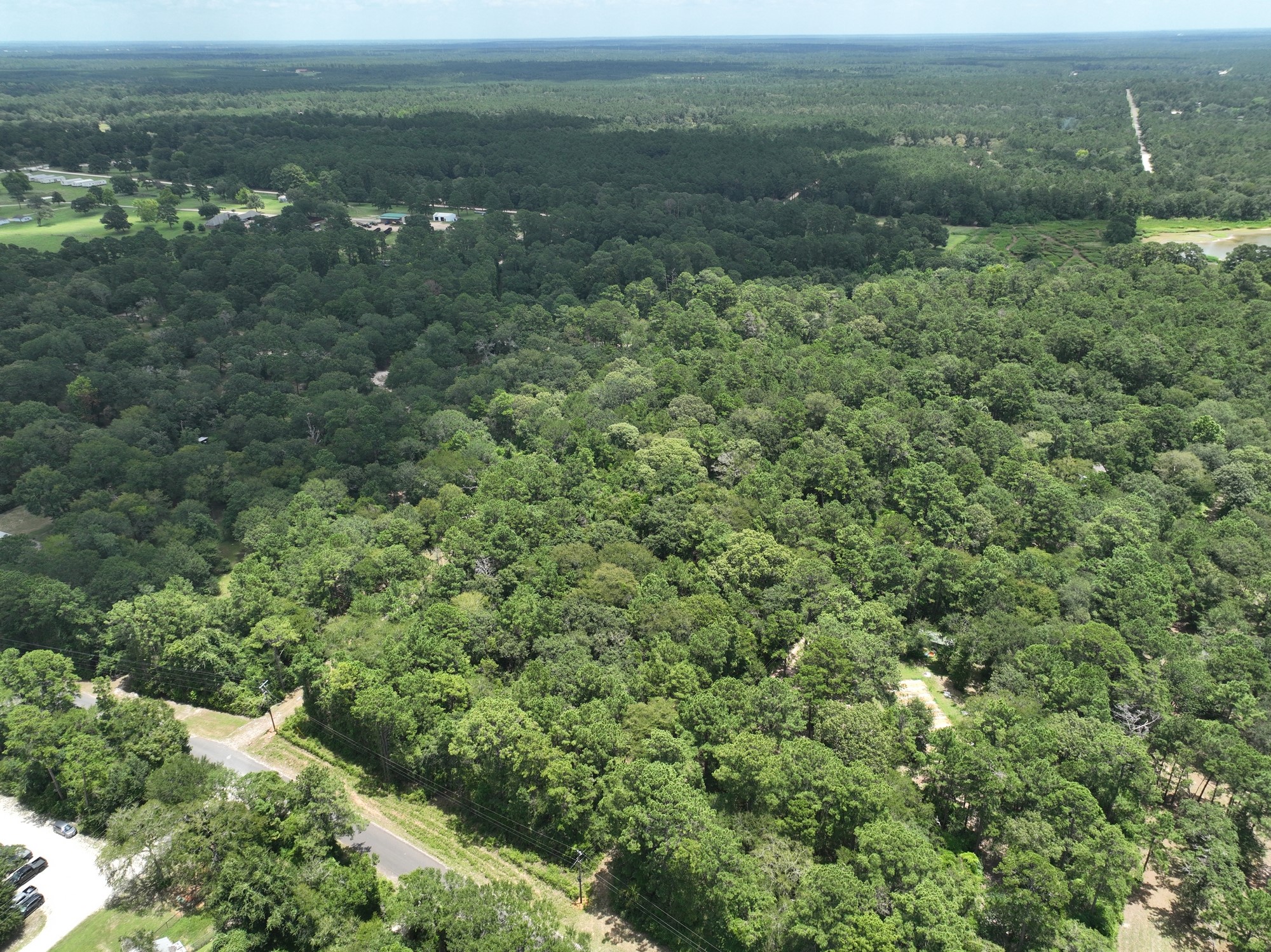 16893 Whippoorwill Road Navasota, TX 77868 - Photo 4 of 31