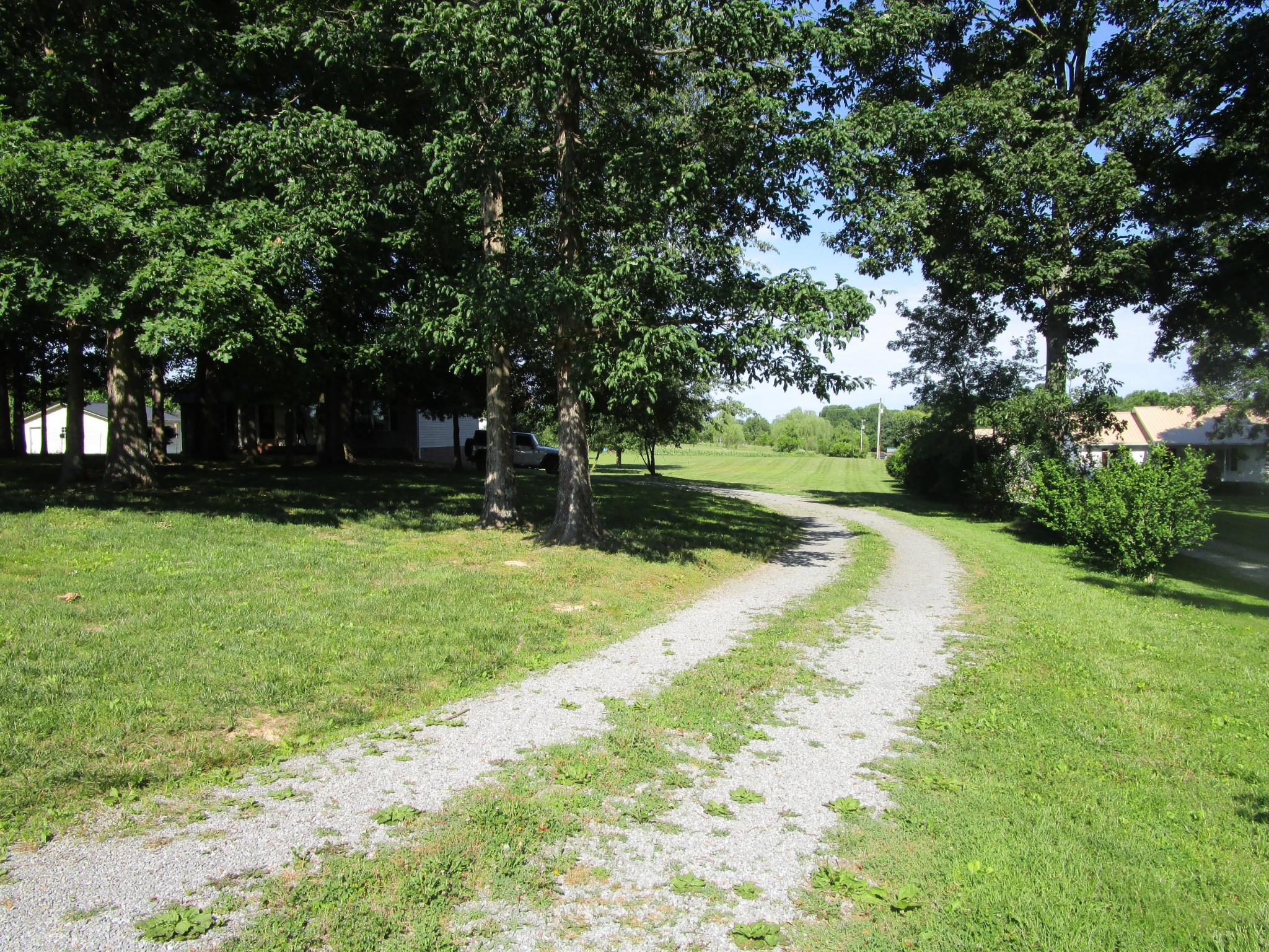 619 Lear Road Portland, TN 37148 - Photo 11 of 43 a view of a yard with plants and large trees