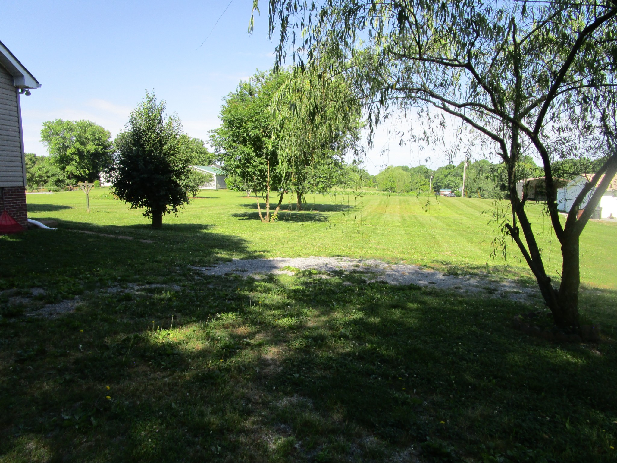 619 Lear Road Portland, TN 37148 - Photo 12 of 43 a view of an trees with a yard